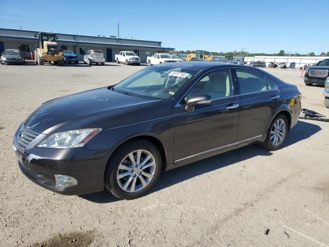 2011 Lexus ES 350