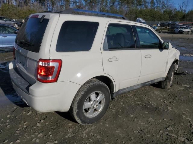 2011 Ford Escape Limited