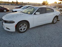 Dodge Charger salvage cars for sale: 2019 Dodge Charger SXT