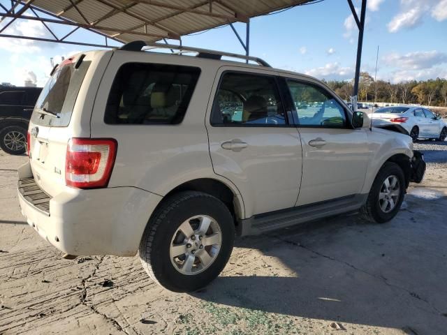 2011 Ford Escape Limited