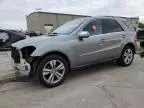 2010 Mercedes-Benz ML 350