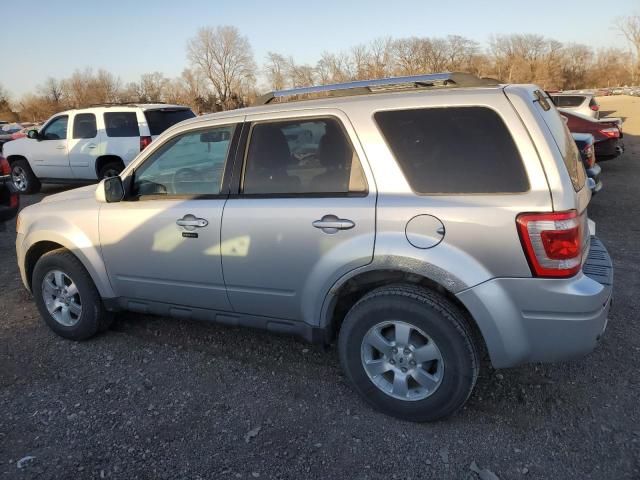 2010 Ford Escape Limited