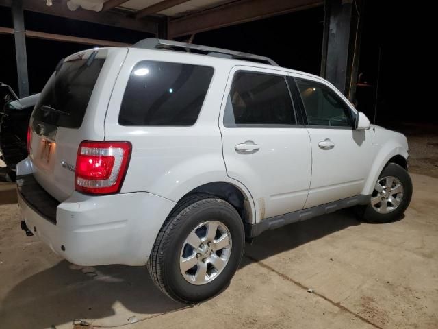 2009 Ford Escape Limited