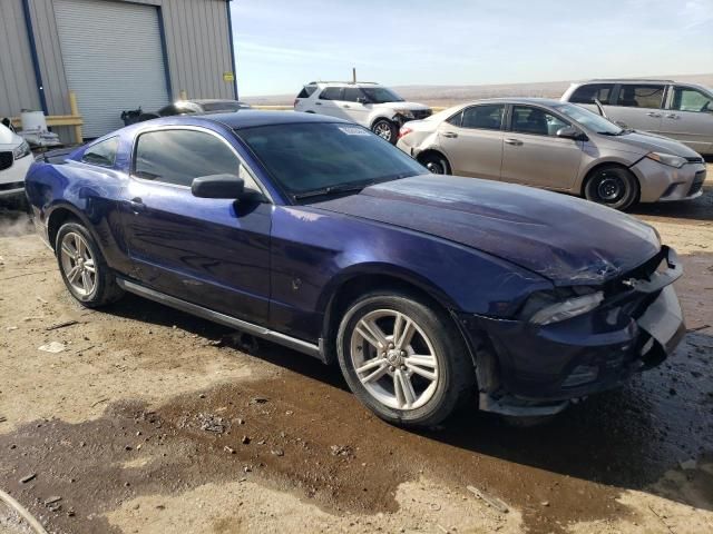 2010 Ford Mustang