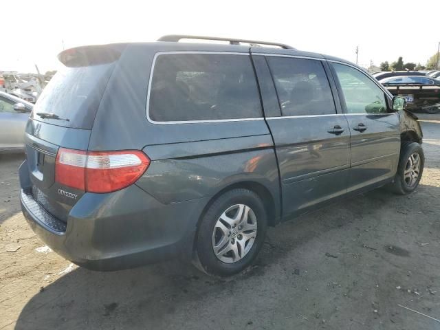 2005 Honda Odyssey EXL