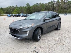 Salvage cars for sale at Houston, TX auction: 2020 Ford Escape SEL