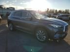 2020 Infiniti QX50 Pure