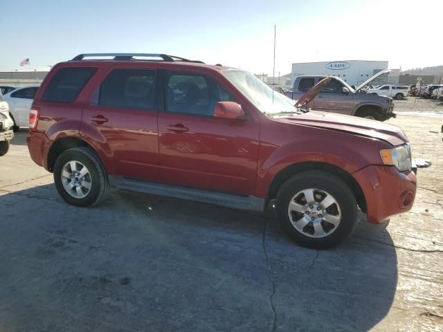 2011 Ford Escape Limited