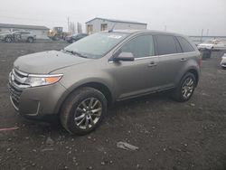 Salvage cars for sale from Copart Airway Heights, WA: 2014 Ford Edge Limited