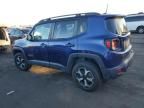 2019 Jeep Renegade Trailhawk