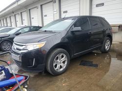 Salvage cars for sale at Louisville, KY auction: 2013 Ford Edge SEL