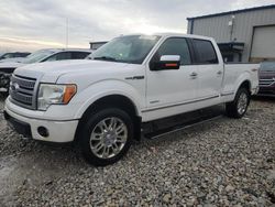 Salvage Cars with No Bids Yet For Sale at auction: 2011 Ford F150 Supercrew