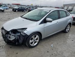 Ford Focus salvage cars for sale: 2012 Ford Focus SE