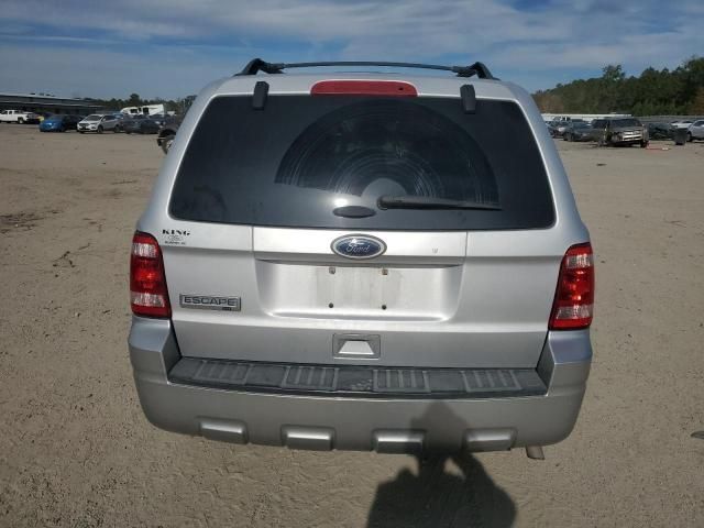 2012 Ford Escape XLT