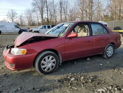 Toyota Vehiculos salvage en venta: 2001 Toyota Corolla CE