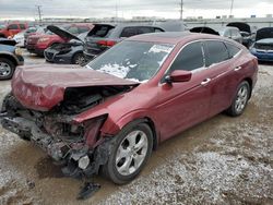 2010 Honda Accord Crosstour EXL en venta en Elgin, IL