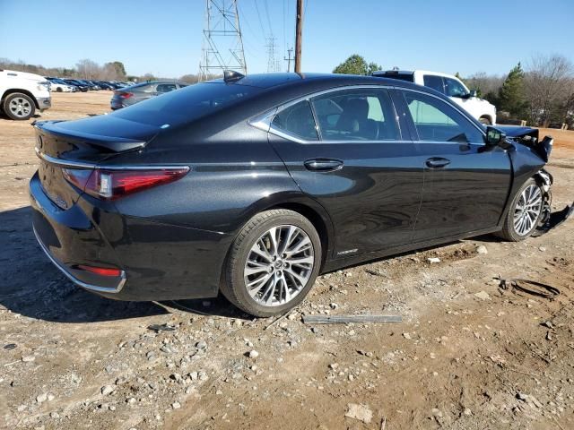 2020 Lexus ES 300H