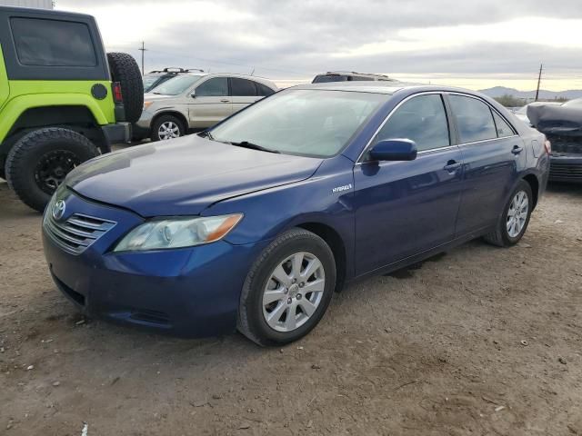 2009 Toyota Camry Hybrid