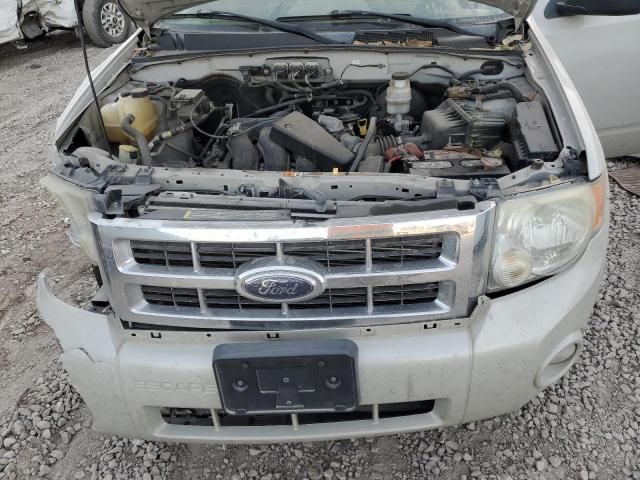 2008 Ford Escape XLT