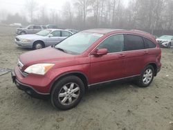 Honda crv salvage cars for sale: 2009 Honda CR-V EXL