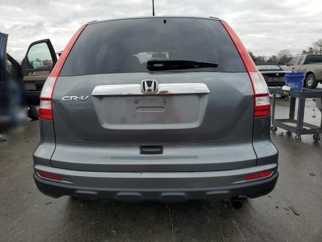 2010 Honda CR-V EXL