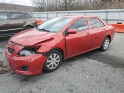 Salvage cars for sale at Grantville, PA auction: 2010 Toyota Corolla Base