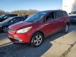 Salvage cars for sale at Windsor, NJ auction: 2014 Ford Escape SE