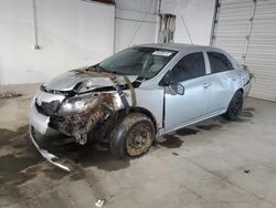 Salvage cars for sale at Lexington, KY auction: 2009 Toyota Corolla Base