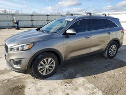 Salvage cars for sale at Walton, KY auction: 2016 KIA Sorento LX