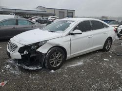 Salvage cars for sale at Earlington, KY auction: 2015 Hyundai Sonata SE