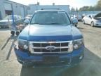 2008 Ford Escape HEV