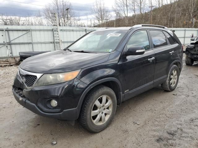 2011 KIA Sorento Base