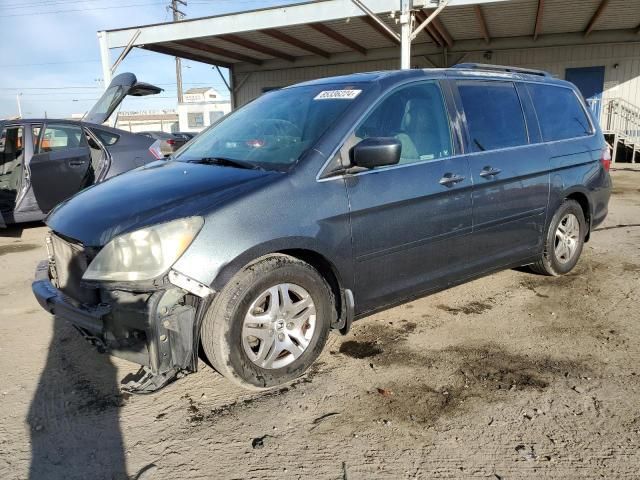 2005 Honda Odyssey EXL