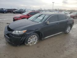 Salvage cars for sale at Indianapolis, IN auction: 2015 Lexus ES 350