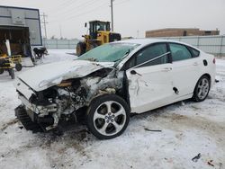 Salvage cars for sale at Bismarck, ND auction: 2013 Ford Fusion SE