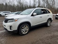 Salvage cars for sale at Cookstown, ON auction: 2014 KIA Sorento EX