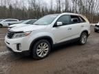 2014 KIA Sorento EX