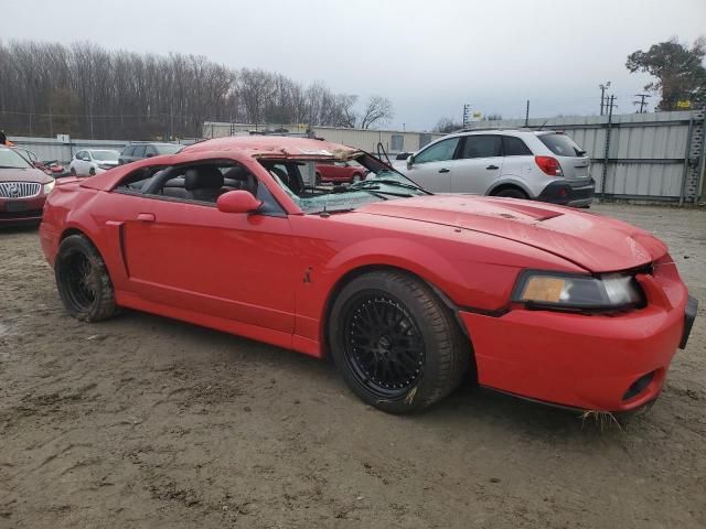 2004 Ford Mustang Cobra SVT