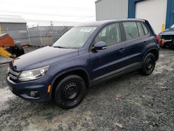 Salvage cars for sale at Elmsdale, NS auction: 2014 Volkswagen Tiguan S