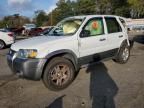 2006 Ford Escape XLT