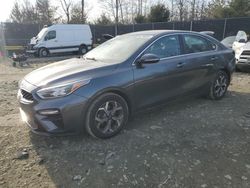 KIA salvage cars for sale: 2019 KIA Forte EX