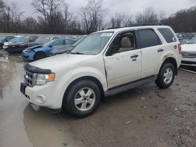 2010 Ford Escape XLT