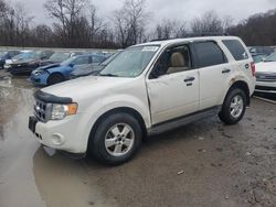 Salvage cars for sale at Ellwood City, PA auction: 2010 Ford Escape XLT