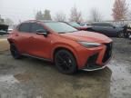 2023 Lexus NX 350