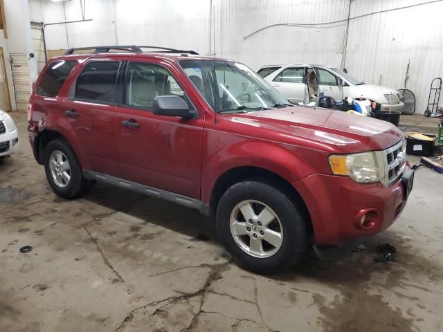 2009 Ford Escape XLT