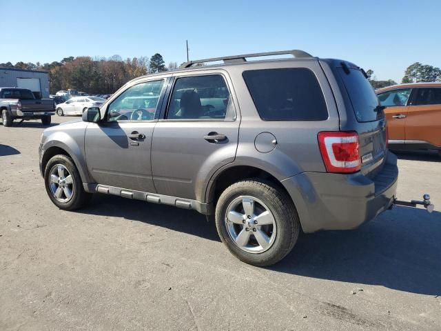 2009 Ford Escape XLT