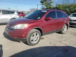 Salvage cars for sale at Lexington, KY auction: 2011 Honda CR-V EXL