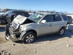 Salvage cars for sale at Louisville, KY auction: 2009 Ford Escape Limited