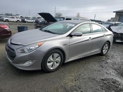 Hyundai salvage cars for sale: 2013 Hyundai Sonata Hybrid