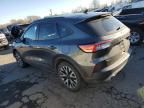 2020 Ford Escape SE Sport